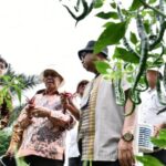 Pj Wali Kota Tinjau Kebun Warga Program Bank Indonesia